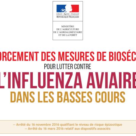 influenza aviaire influenza aviaire