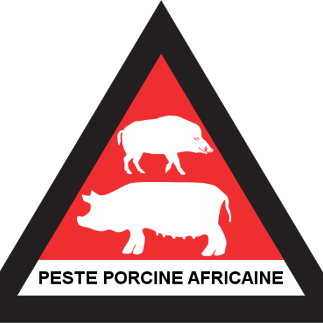 peste porcine africaine peste porcine africaine